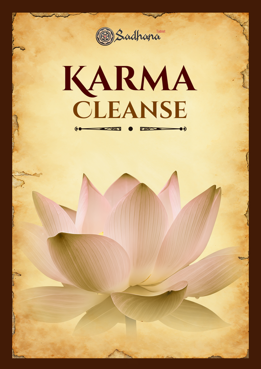 Karma Cleanse