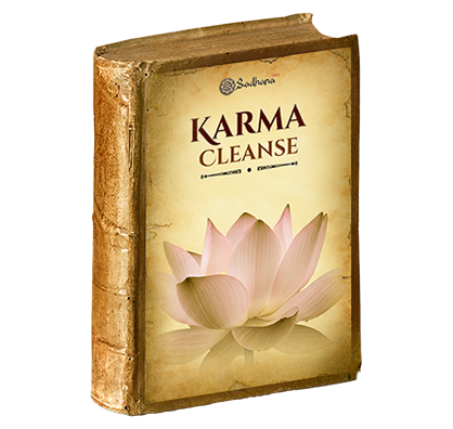 Karma Cleanse